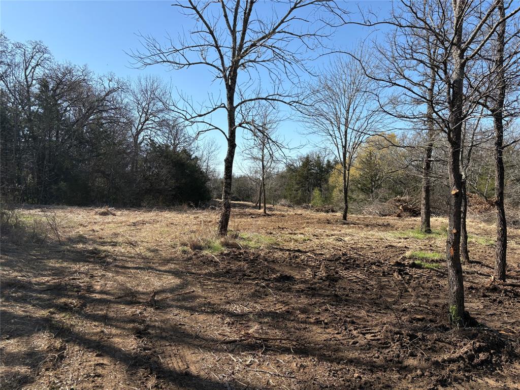 Tbd Stribbling Property Photo 17