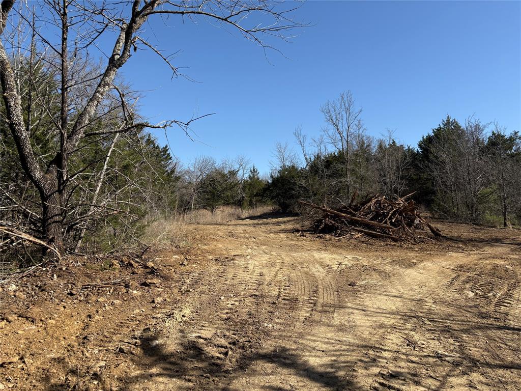 Tbd Stribbling Property Photo 21
