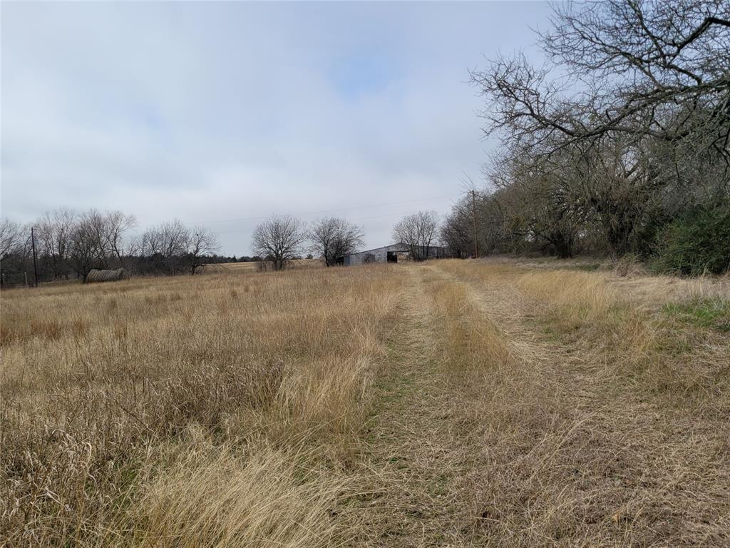2232 County Road 415 Property Photo 5
