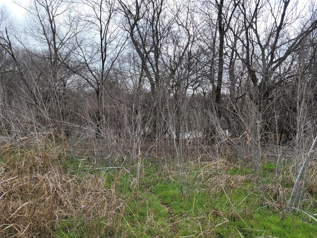 2232 County Road 415 Property Photo 8