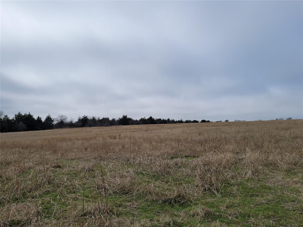 2232 County Road 415 Property Photo 13
