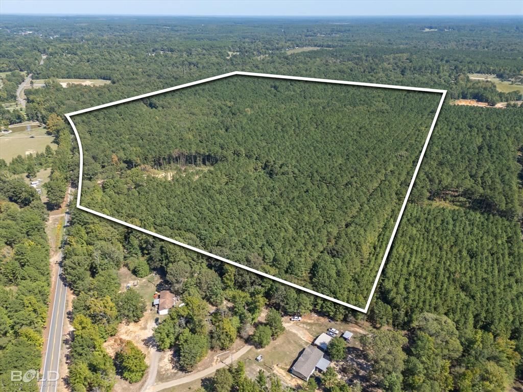 0 Old Plain Dealing Property Photo 2