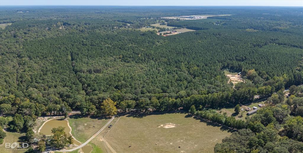 0 Old Plain Dealing Property Photo 7