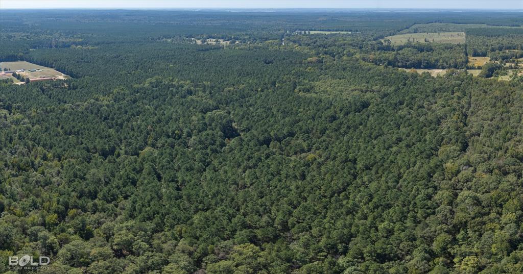 0 Old Plain Dealing Property Photo 12
