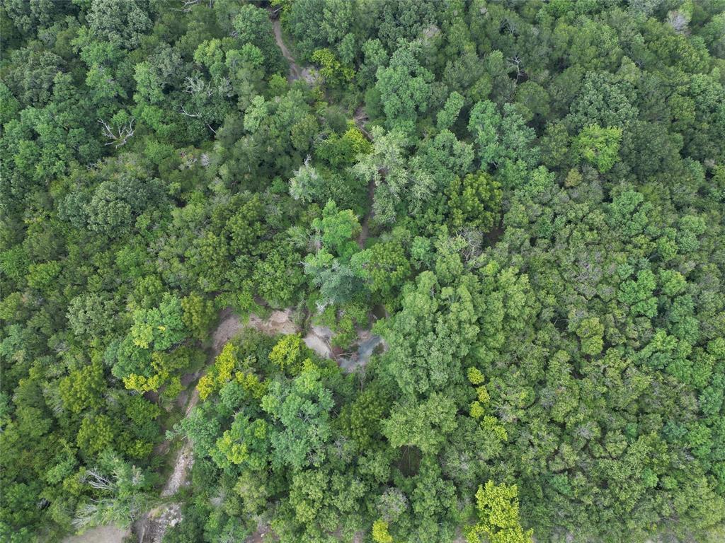 1214 Old Millwood Road Property Photo 5