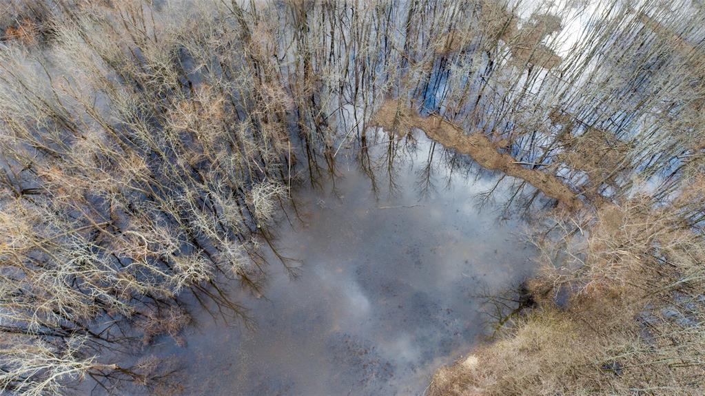 Tbd Butler Pool Rd Property Photo 2