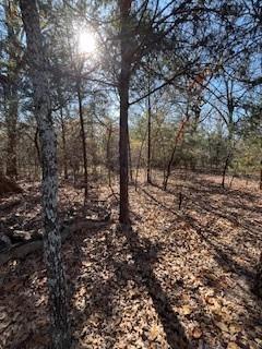 Lot 15,16 Loper Drive Property Photo 2