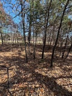 Lot 15,16 Loper Drive Property Photo 6
