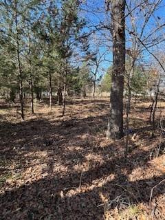 Lot 15,16 Loper Drive Property Photo 9