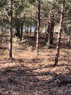 Lot 15,16 Loper Drive Property Photo 10