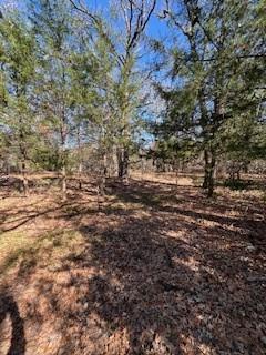 Lot 15,16 Loper Drive Property Photo 11