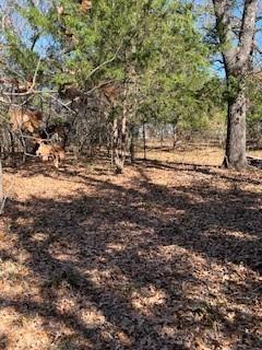 Lot 15,16 Loper Drive Property Photo 14