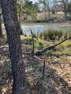 Lot 15,16 Loper Drive Property Photo 19