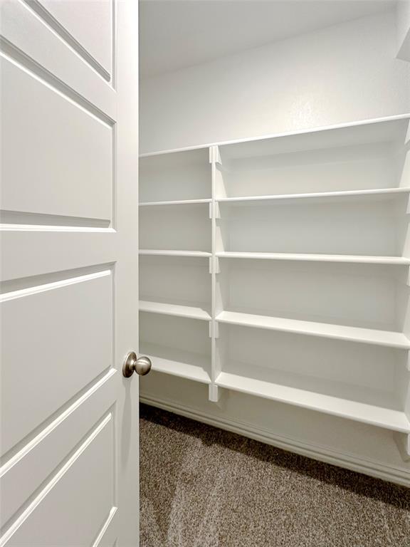 8378 Massive Drive Property Photo 35