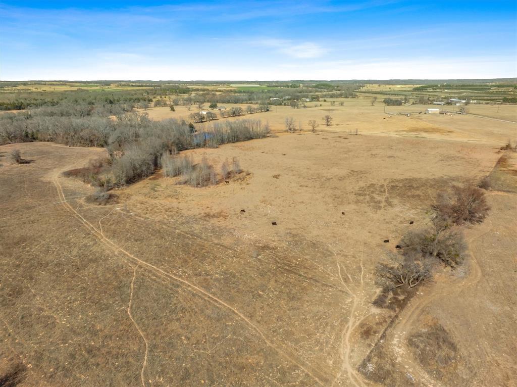 Tbd Vz County Road 2317 Tract 6 Property Photo 9