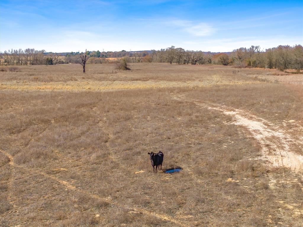 Tbd Vz County Road 2317 Tract 6 Property Photo 24