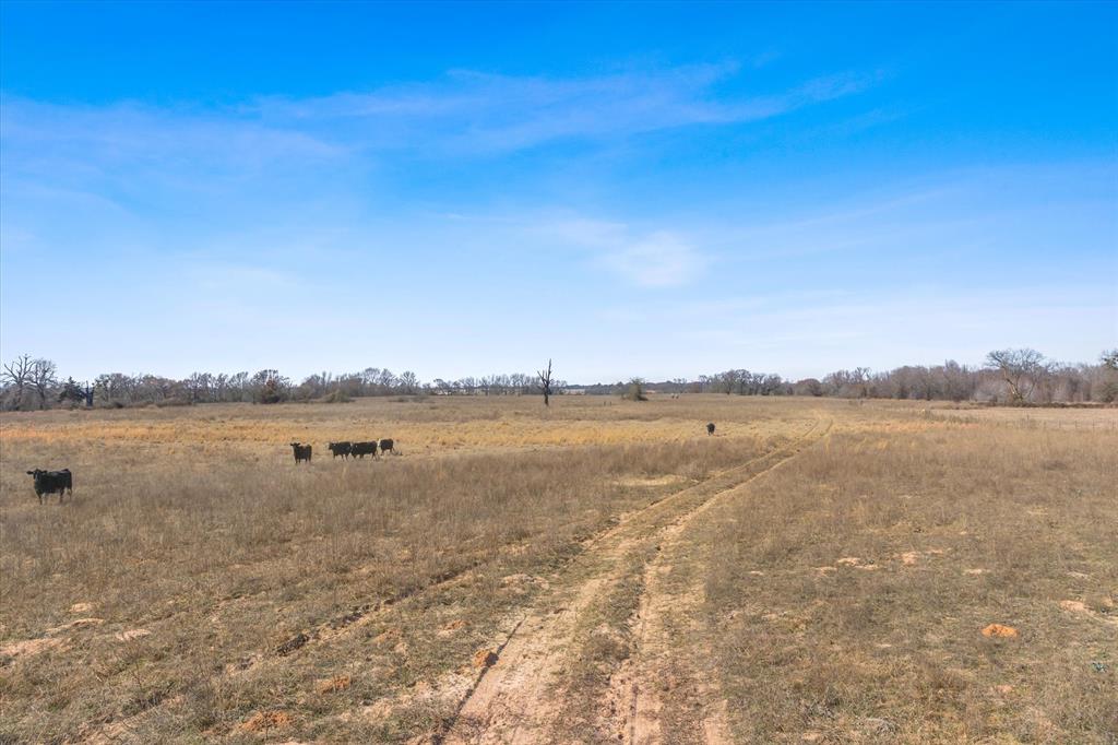 Tbd Vz County Road 2317 Tract 6 Property Photo 28