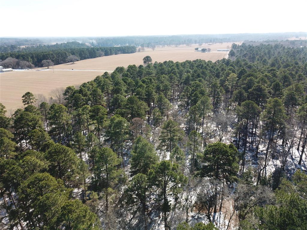 00 County Road 3147 Property Photo 13