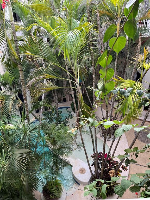 9 Royal Palms Property Photo 3