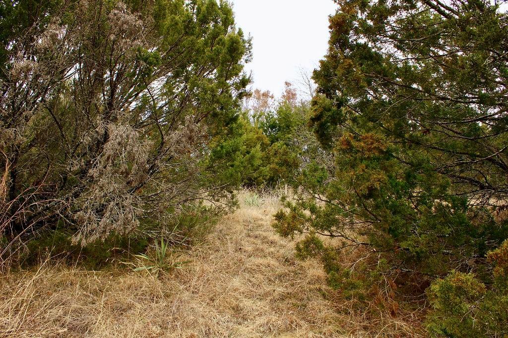 5732 Highland Drive Property Photo 6