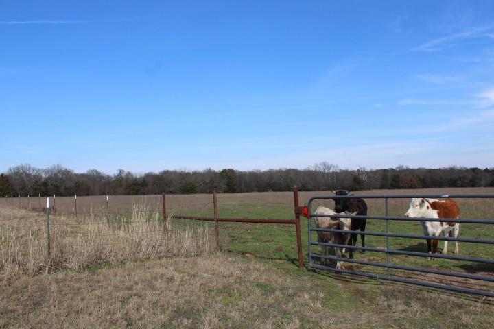 2488 Rs County Road 1525 Property Photo 2