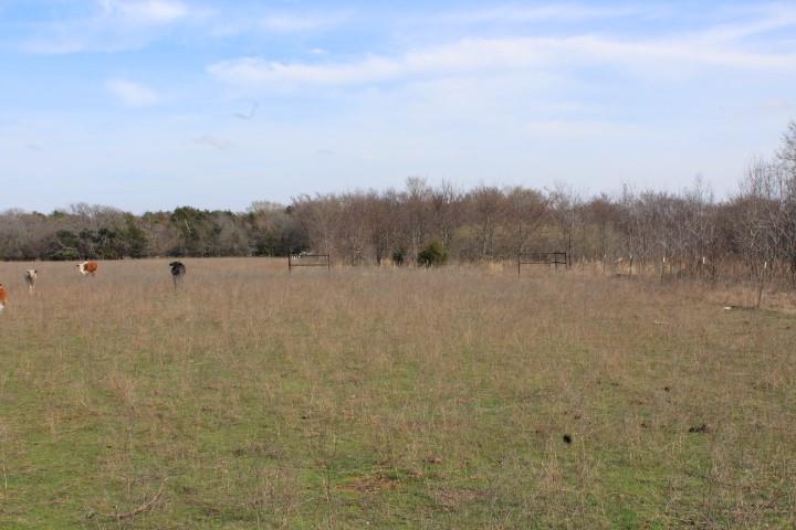 2488 Rs County Road 1525 Property Photo 3