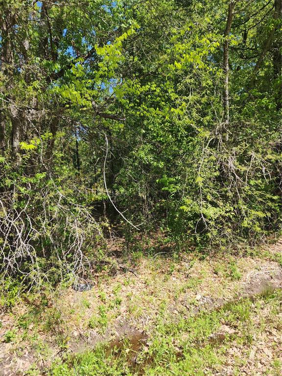 Tbd Lazy Launch Lane Property Photo 1