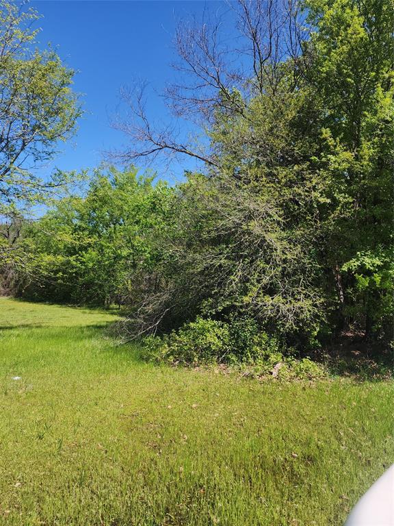116 Lindy Lee Lane Property Photo 2