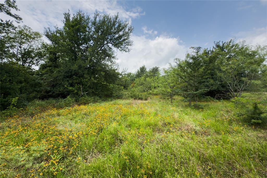 Lot 11 County Road 173 Property Photo 2