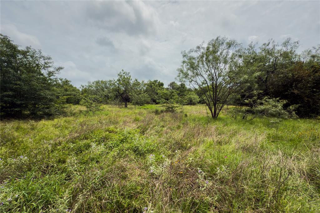 Lot 11 County Road 173 Property Photo 3