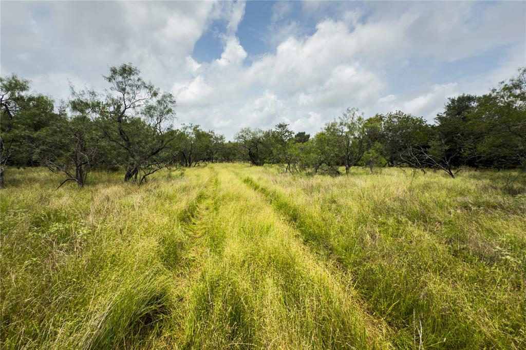 Lot 11 County Road 173 Property Photo 4