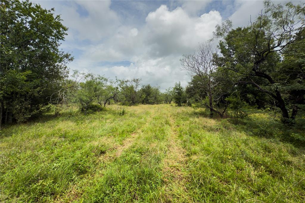 Lot 11 County Road 173 Property Photo 5