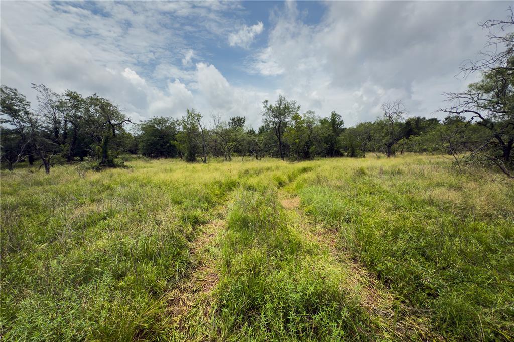 Lot 11 County Road 173 Property Photo 6
