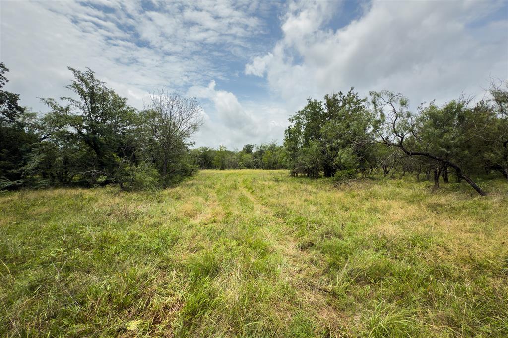 Lot 11 County Road 173 Property Photo 7