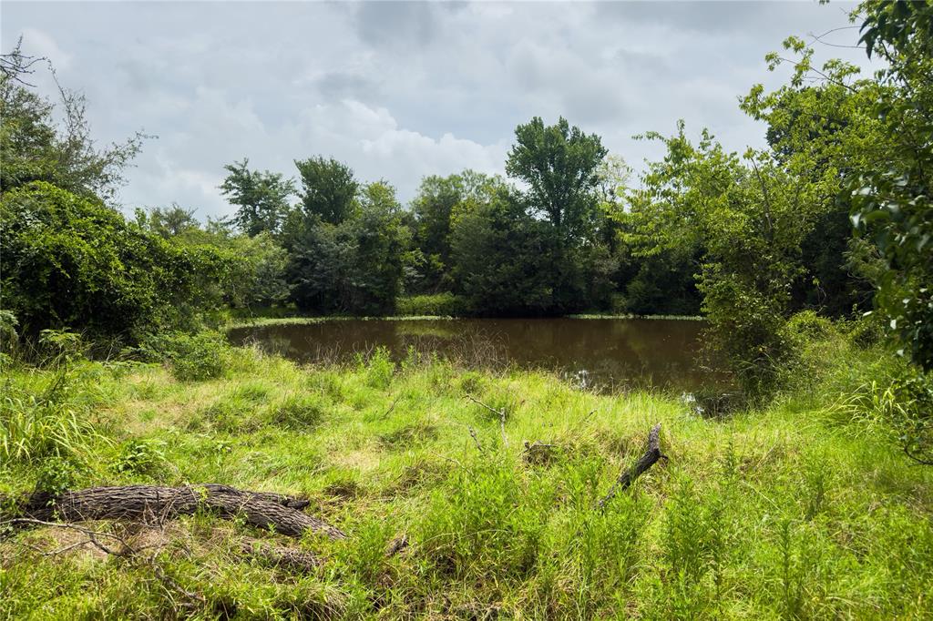 Lot 11 County Road 173 Property Photo 8
