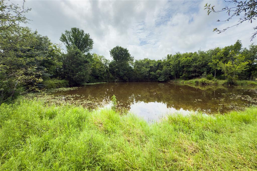 Lot 11 County Road 173 Property Photo 9