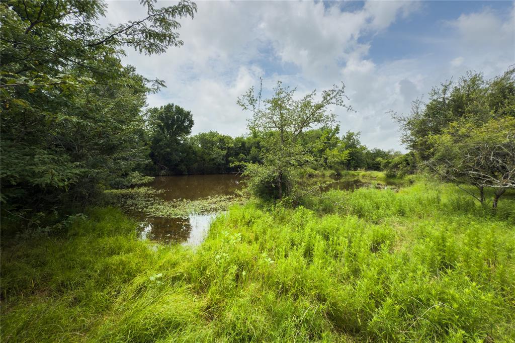 Lot 11 County Road 173 Property Photo 10