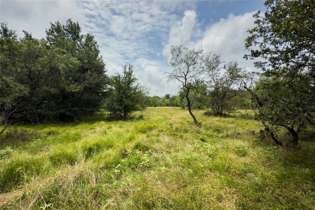 Lot 11 County Road 173 Property Photo 11