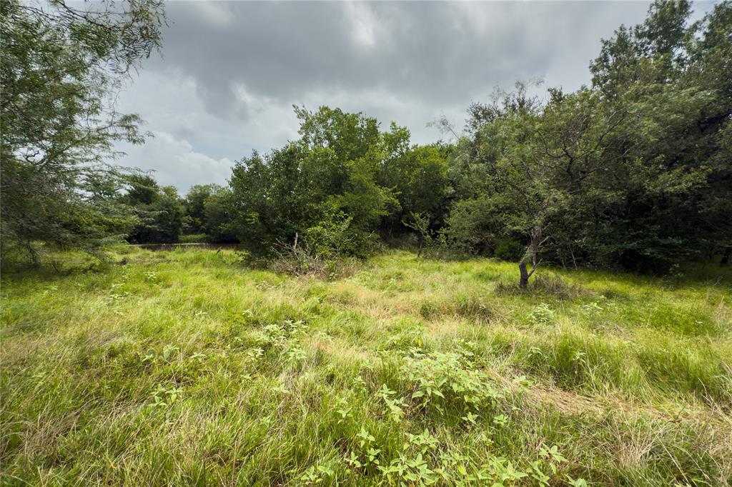 Lot 11 County Road 173 Property Photo 12
