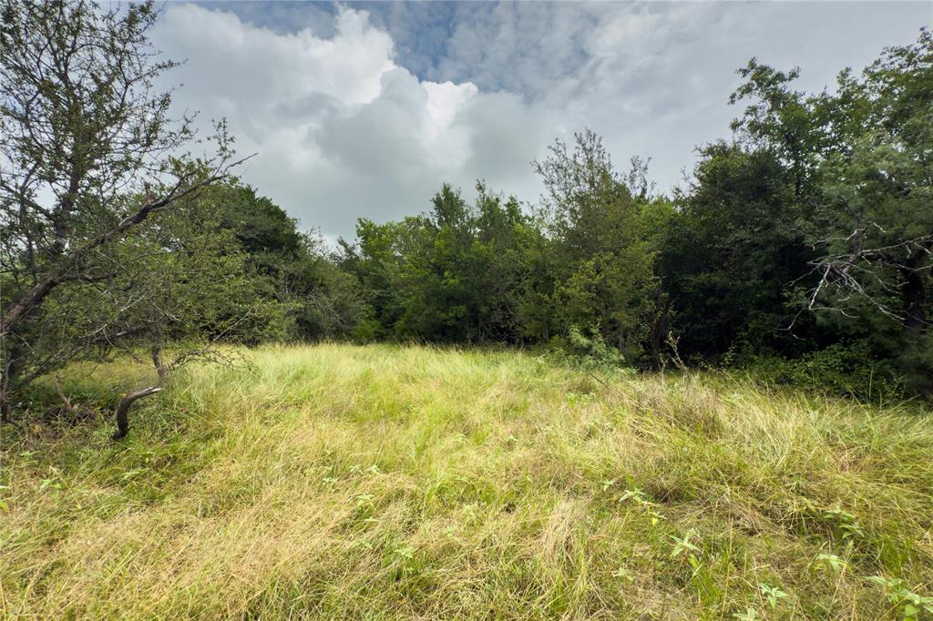 Lot 11 County Road 173 Property Photo 13