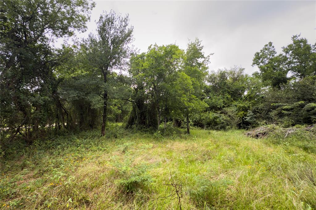 Lot 11 County Road 173 Property Photo 14
