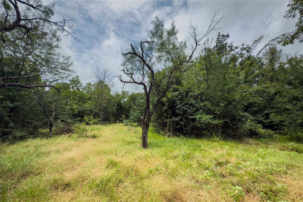 Lot 11 County Road 173 Property Photo 15