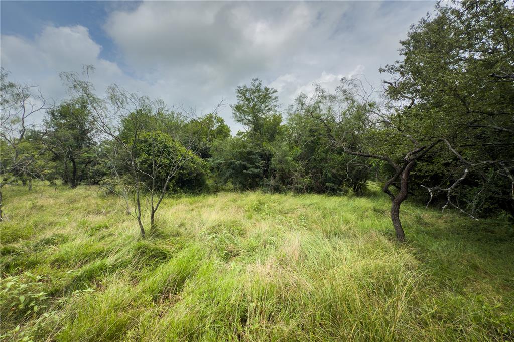 Lot 11 County Road 173 Property Photo 16