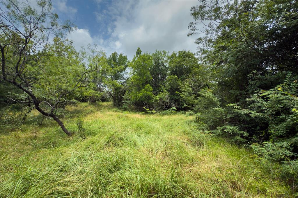 Lot 11 County Road 173 Property Photo 17