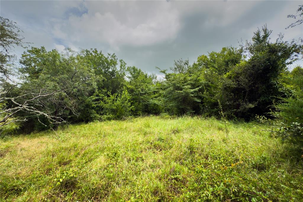 Lot 11 County Road 173 Property Photo 18
