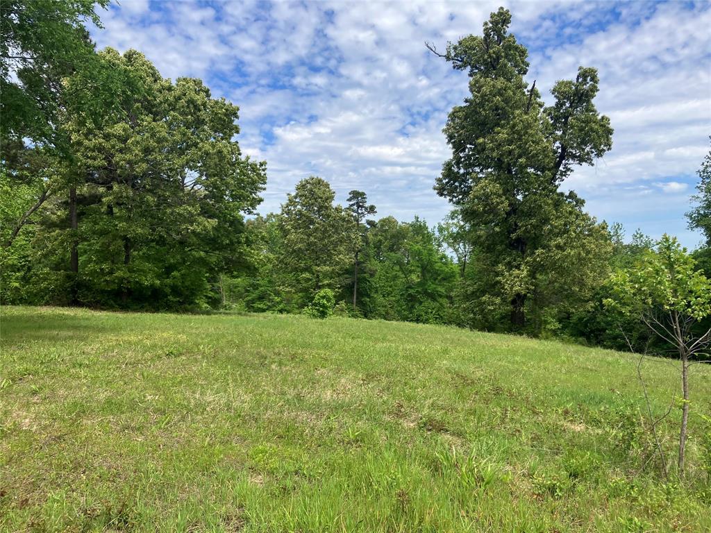 Tbd Ridgeline Loop Property Photo 1
