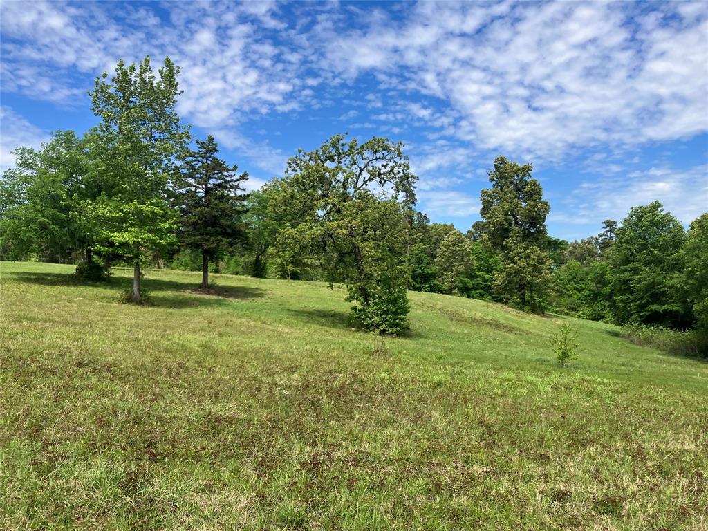 Tbd Ridgeline Loop Property Photo 2