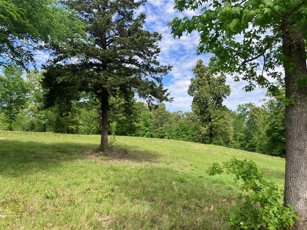 Tbd Ridgeline Loop Property Photo 3
