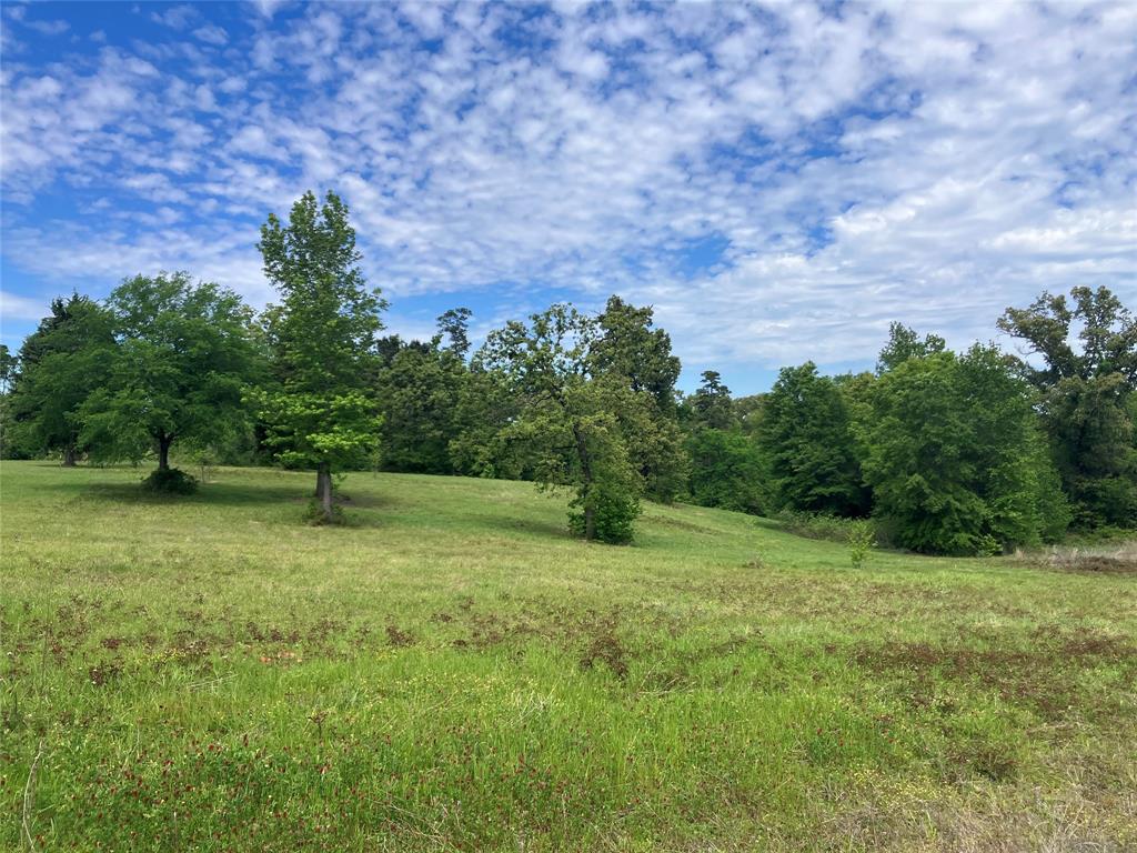 Tbd Ridgeline Loop Property Photo 4