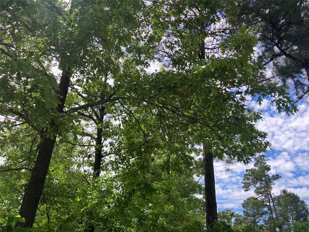 Tbd Ridgeline Loop Property Photo 5